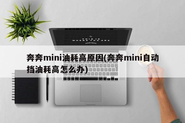 奔奔mini油耗高原因(奔奔mini自动挡油耗高怎么办)