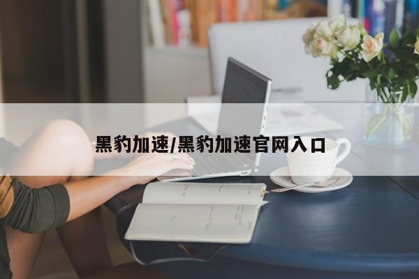 黑豹加速/黑豹加速官网入口