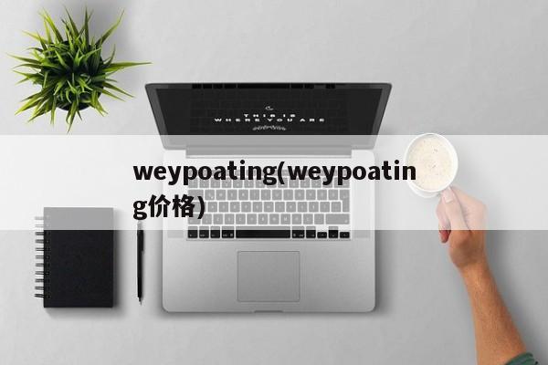 weypoating(weypoating价格)