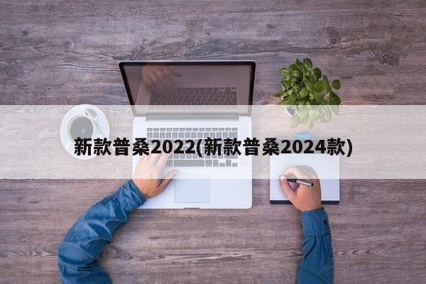 新款普桑2022(新款普桑2024款)