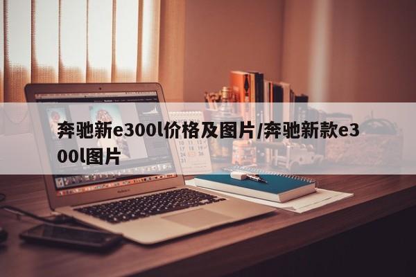 奔驰新e300l价格及图片/奔驰新款e300l图片